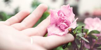 7 Soaps to Supercharge Your Daily Skincare Routine