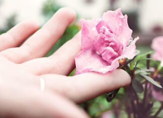 7 Soaps to Supercharge Your Daily Skincare Routine