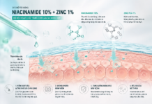 Niacinamide 10% + Zinc: Tác Dụng Thật Sự Và Cách Dùng Cho Da Dầu Mụn